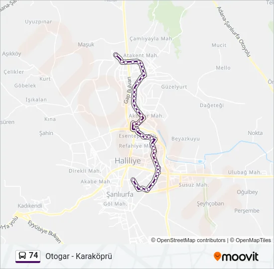 74 Bus Line Map