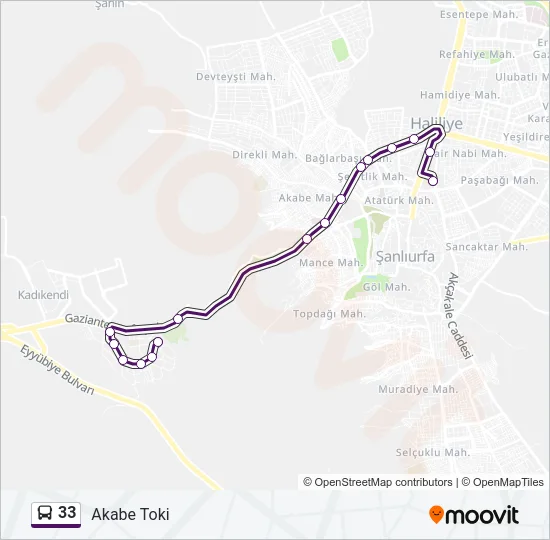 33 Bus Line Map