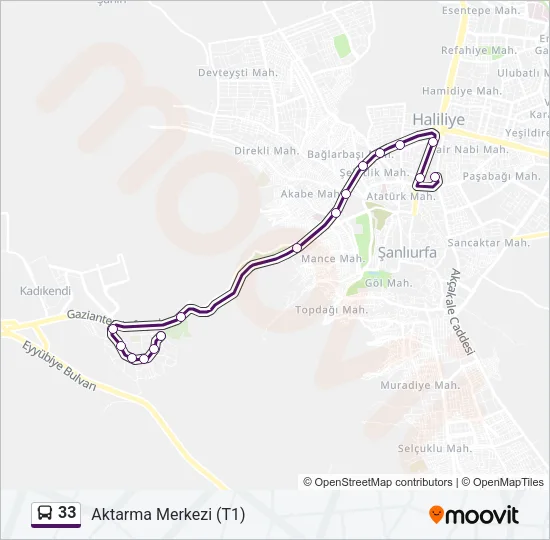 33 Bus Line Map