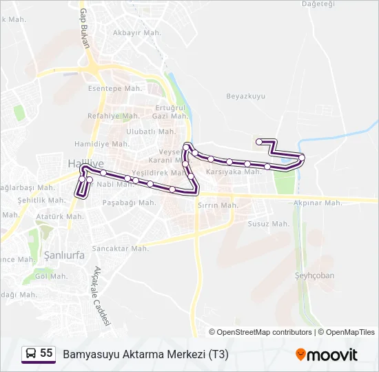 55 Bus Line Map