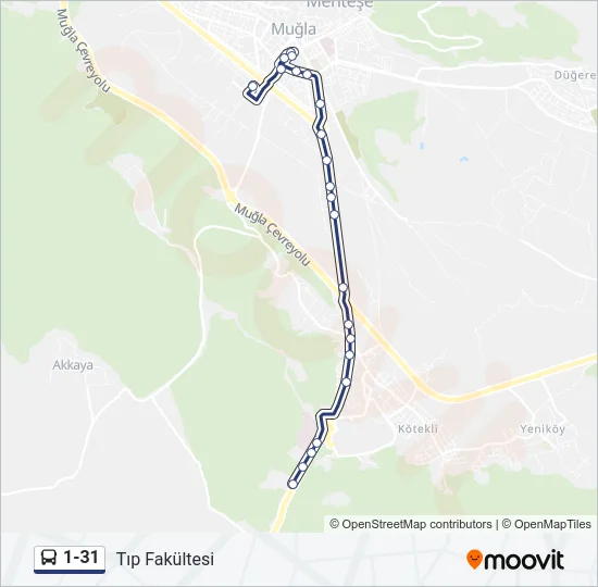 1-31 Bus Line Map