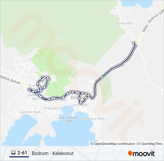 2-61 Bus Line Map