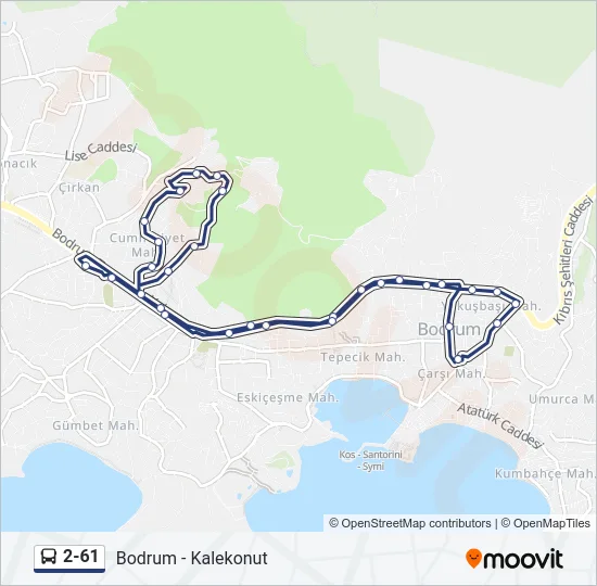 2-61 Bus Line Map