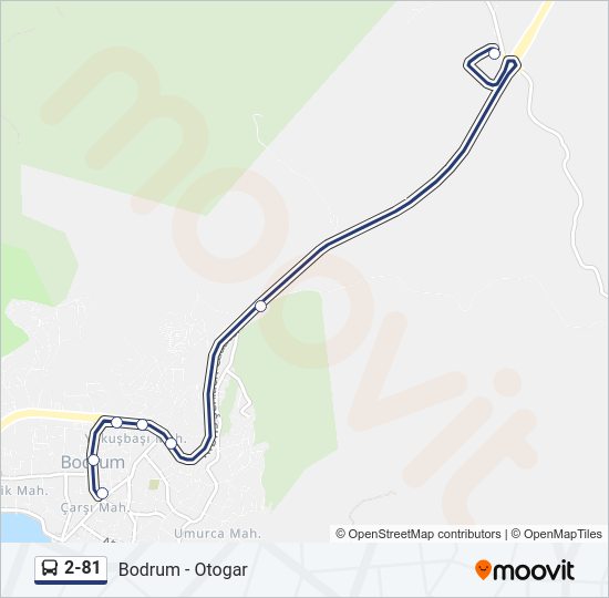 2-81 Bus Line Map