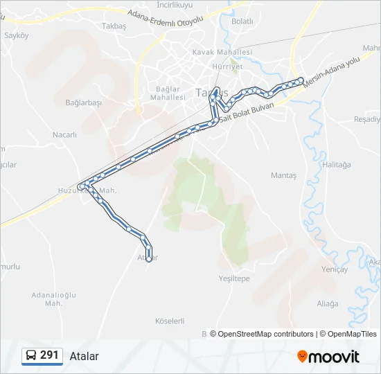 291 Bus Line Map