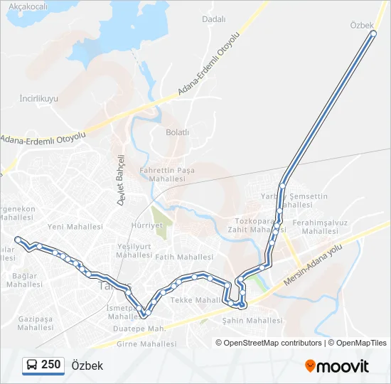 250 Bus Line Map
