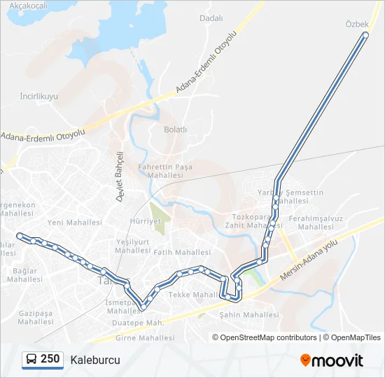 250 Bus Line Map
