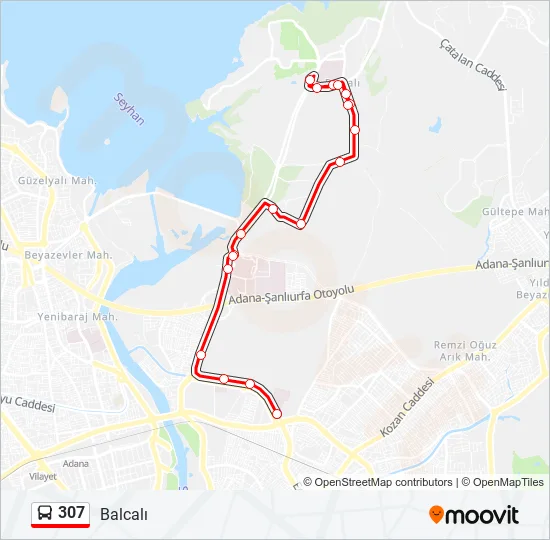 307  Line Map