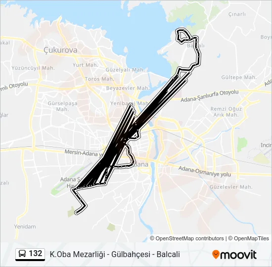 132 Bus Line Map