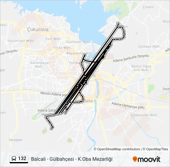 132 Bus Line Map