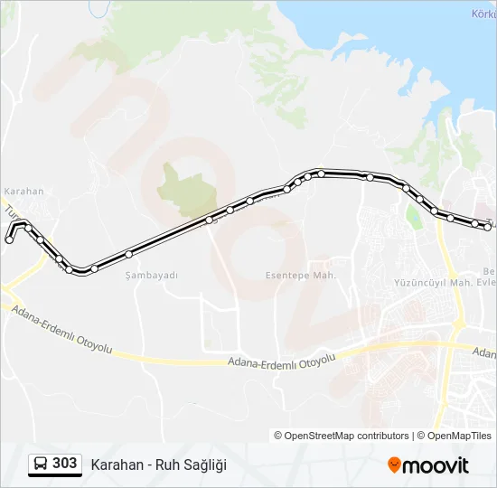 303 Bus Line Map