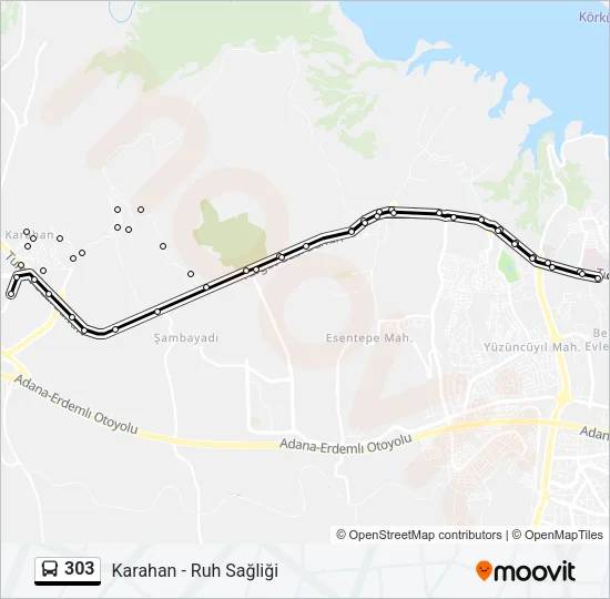 303 Bus Line Map