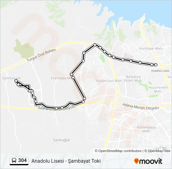 304 Bus Line Map