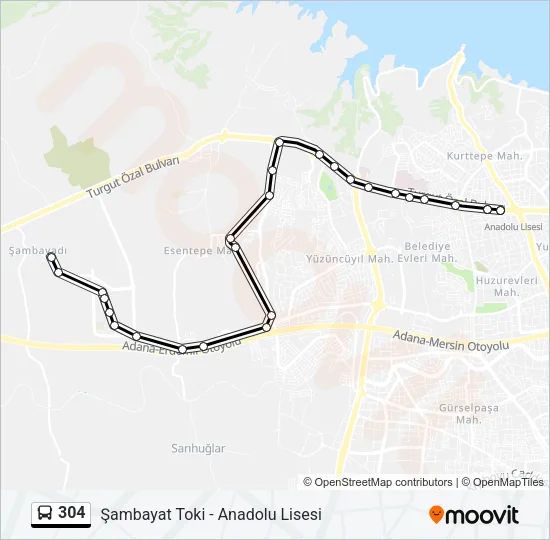 304 Bus Line Map