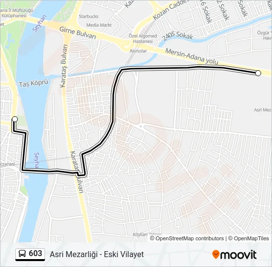 603 Bus Line Map