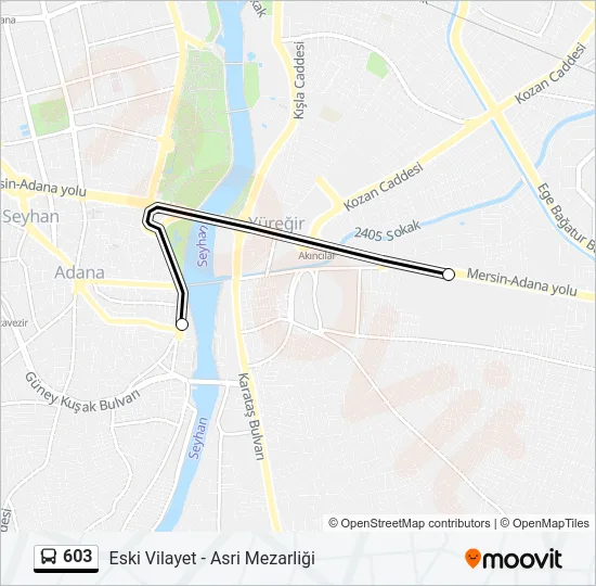 603 Bus Line Map