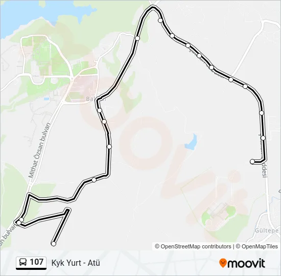 107 Bus Line Map