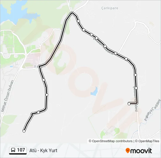 107 Bus Line Map