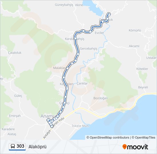 303 bus Line Map