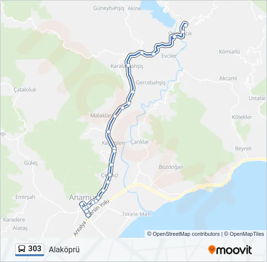 303 Bus Line Map