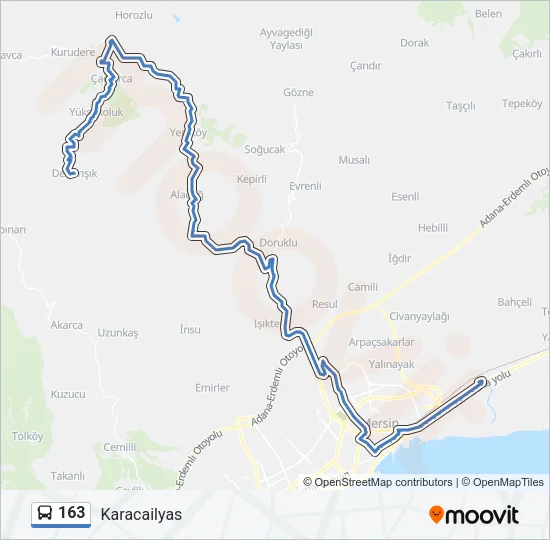 163 Bus Line Map