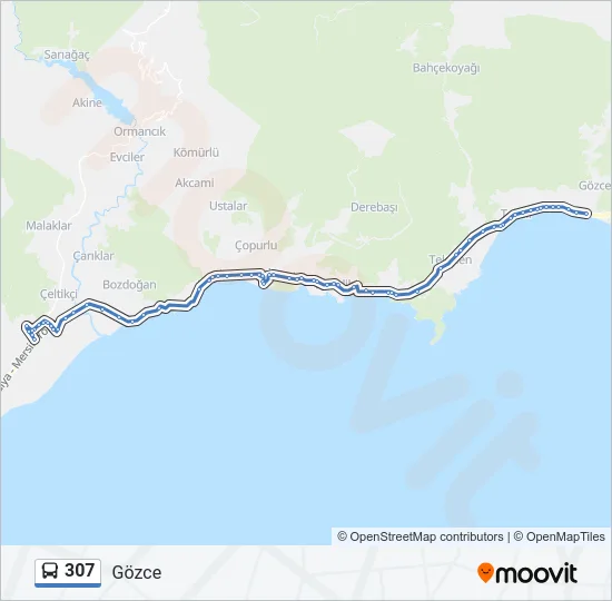 307 Bus Line Map