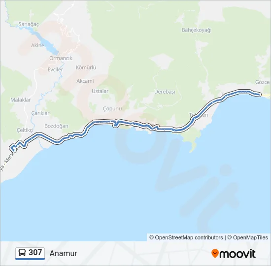307 Bus Line Map