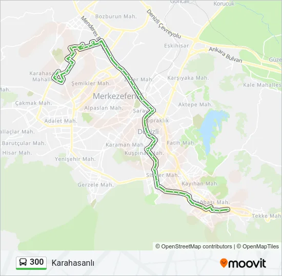 300 Bus Line Map