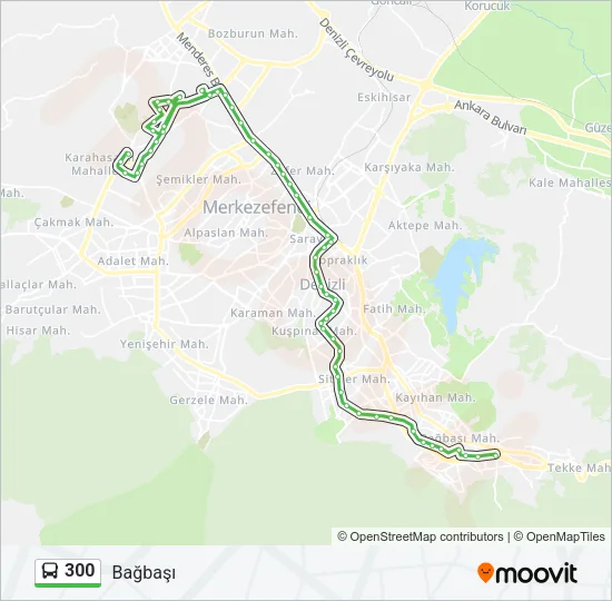 300 Bus Line Map