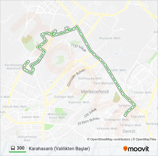 300 Bus Line Map
