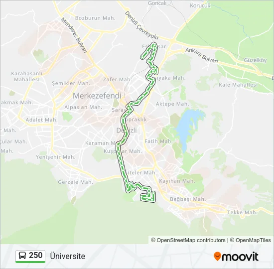 250 Bus Line Map