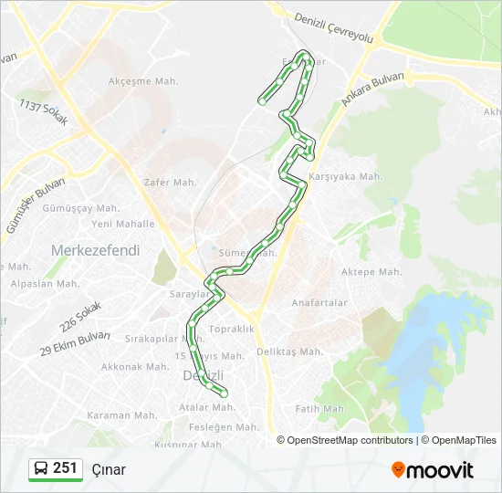 251 Bus Line Map