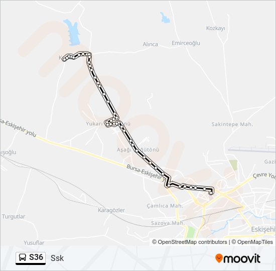 S36 bus Line Map