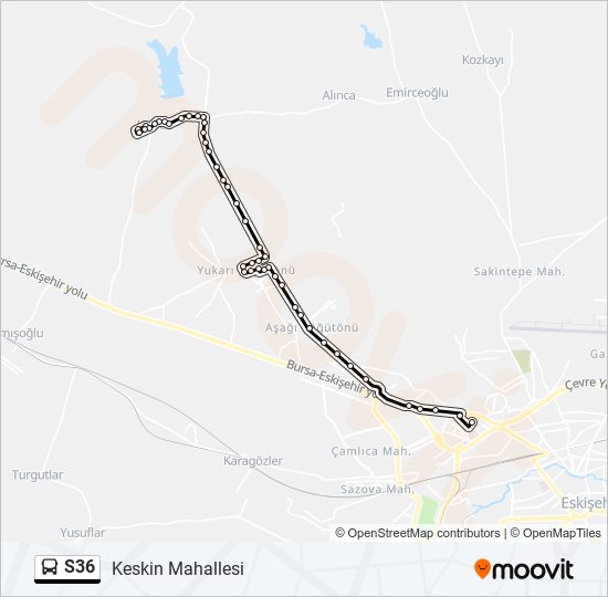 S36 bus Line Map