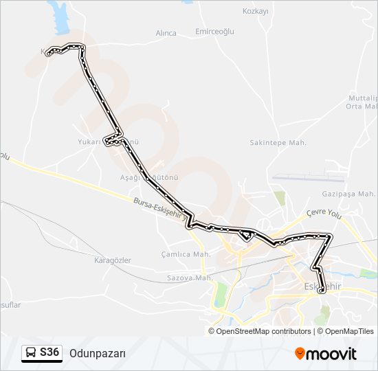 S36 bus Line Map