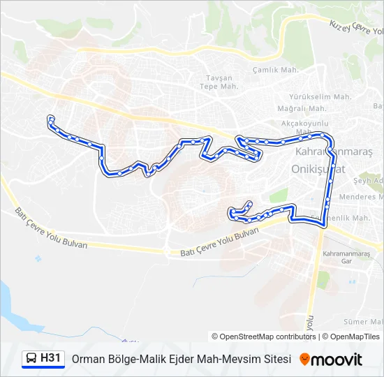 H31 Bus Line Map