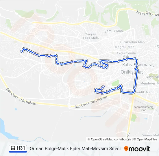 H31 Bus Line Map