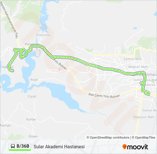 B/36B Bus Line Map