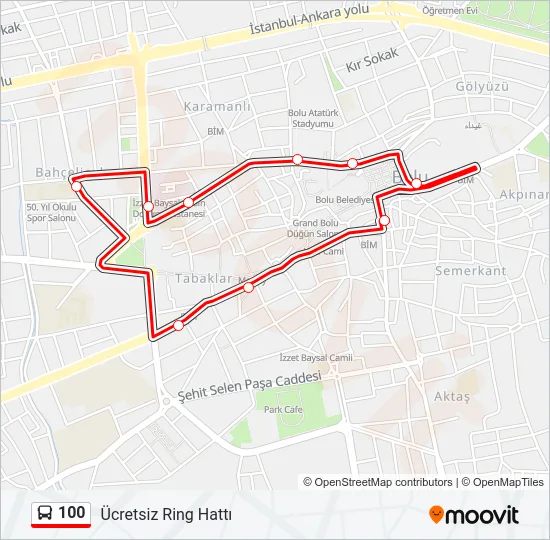 100 Bus Line Map
