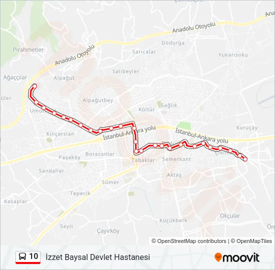 10 Bus Line Map