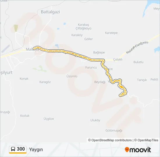 300 Bus Line Map