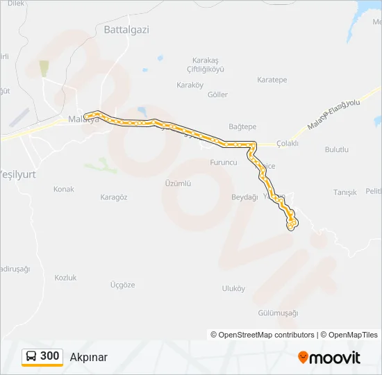 300 Bus Line Map