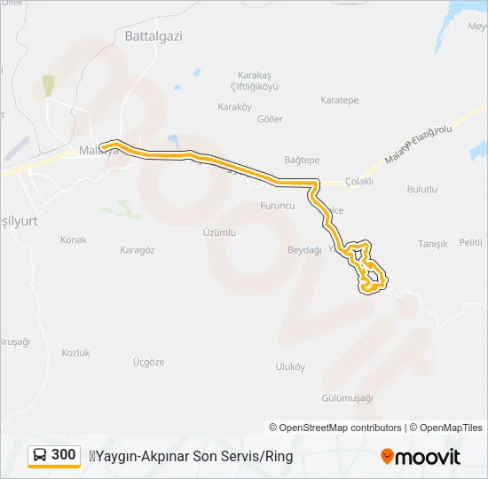 300 Bus Line Map
