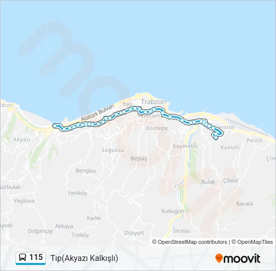 115 Bus Line Map