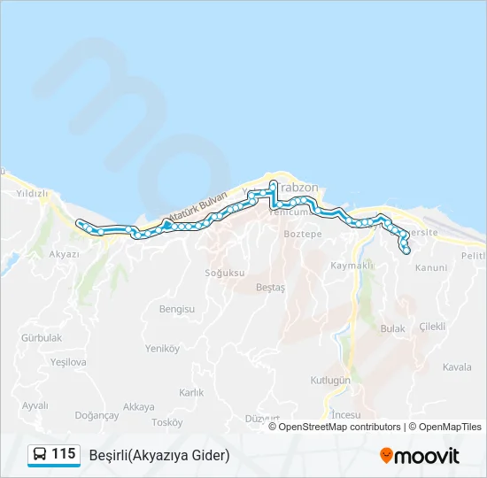 115 Bus Line Map