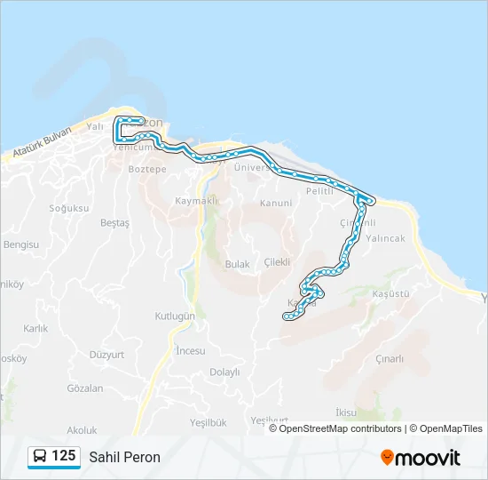 125 Bus Line Map