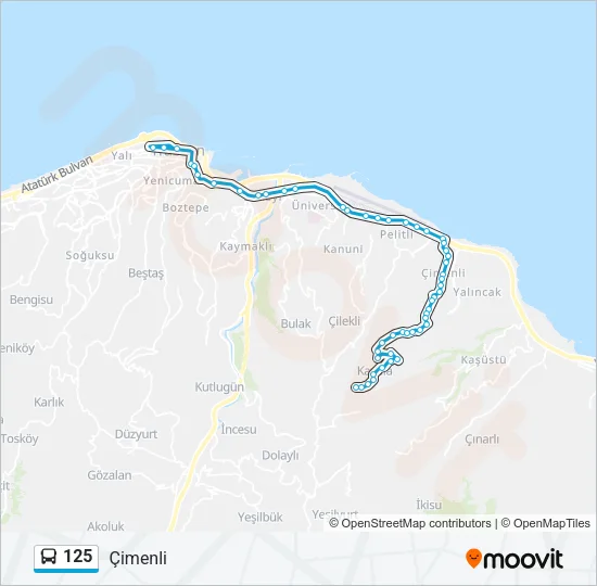 125 Bus Line Map