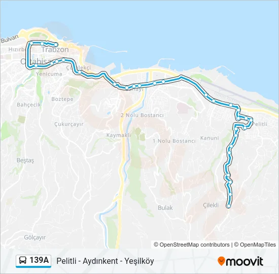 139A Bus Line Map