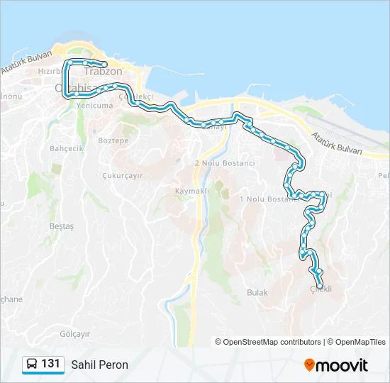 131 Bus Line Map