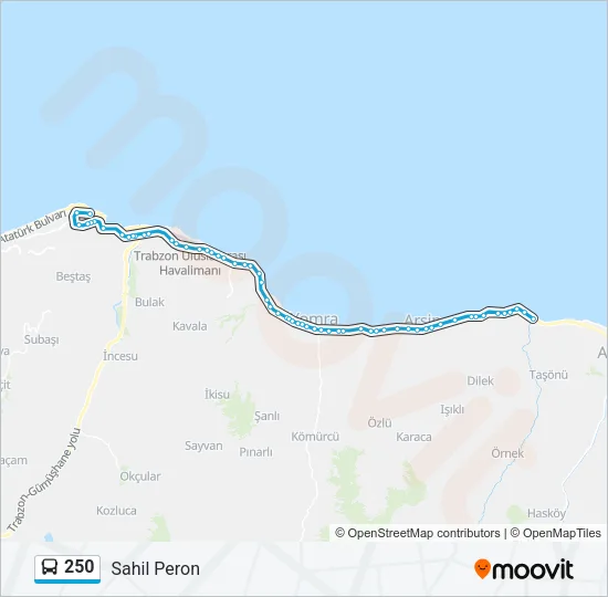 250 Bus Line Map